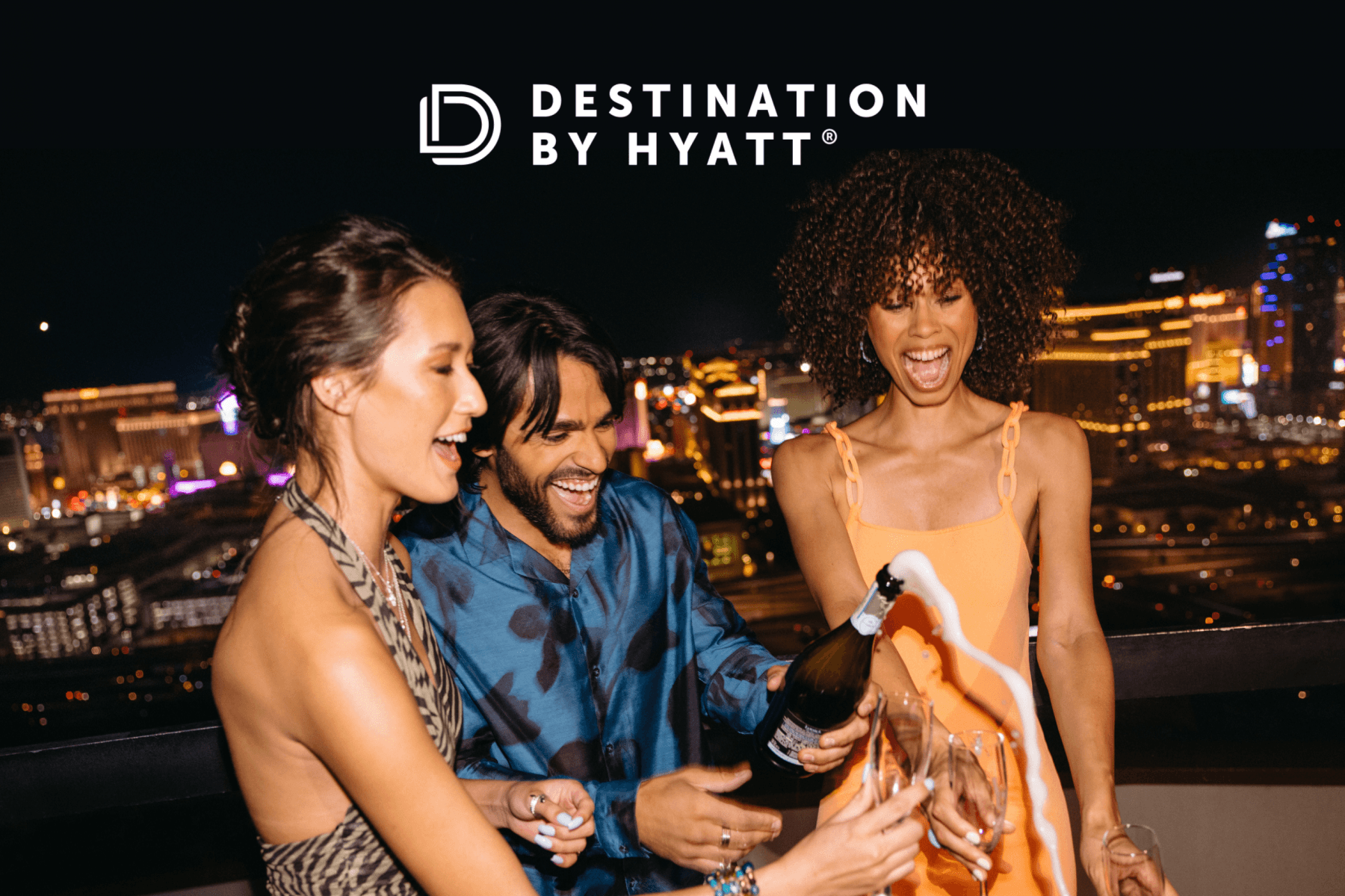 Interface Vegas Plus