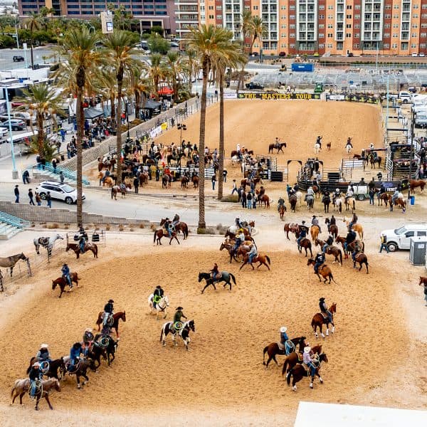 Rio Round-Up at Rio Hotel & Casino Las Vegas
