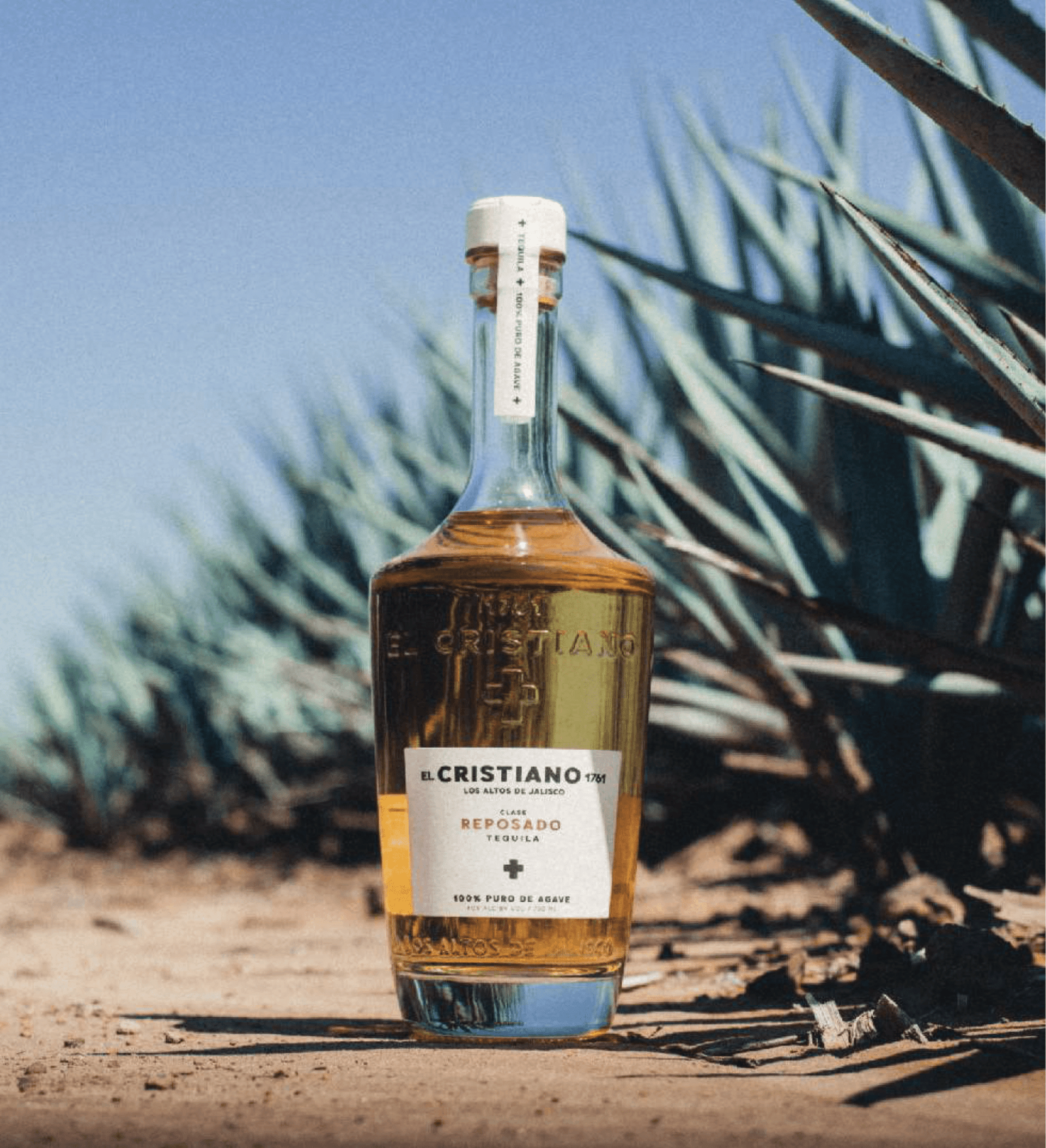 El Cristiano Tequila tasting event